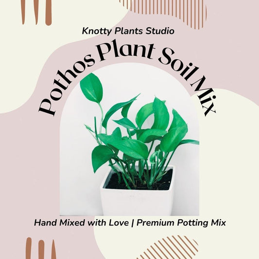Pothos Soil Mix - Custom Soil - Organic