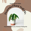 Begonia Plant Soil Mix - Custom Soil - Organic