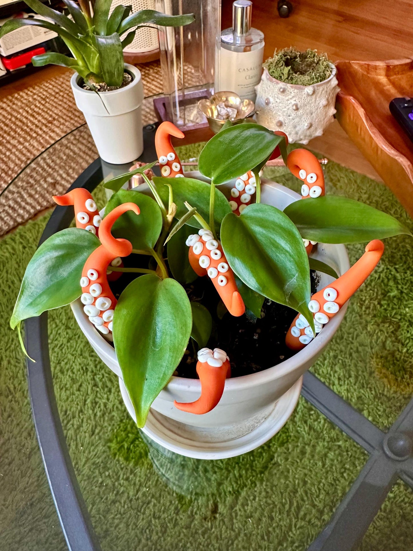 Orange Sea Creature Tentacles