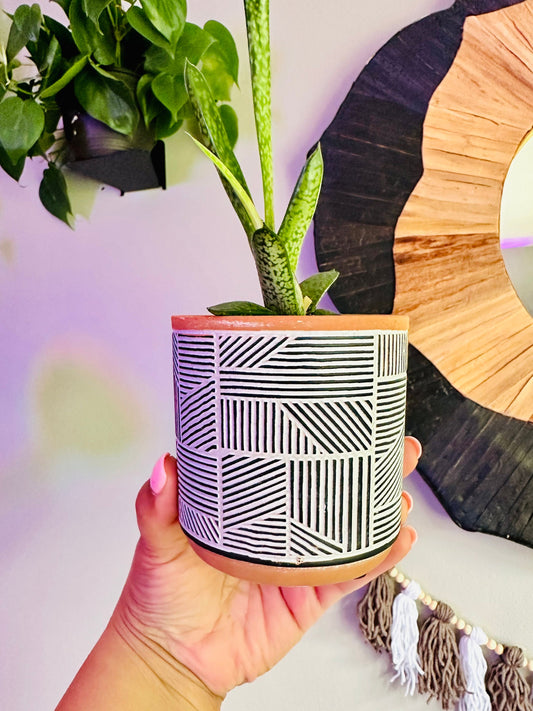 3.5 Inch Terracotta Planter - Ceramic Pot - Black & White Style