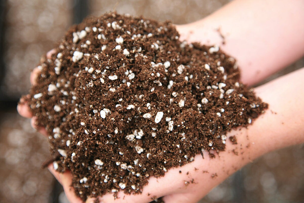 Begonia Plant Soil Mix - Custom Soil - Organic