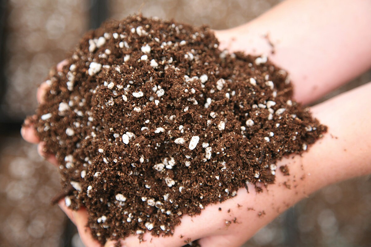 Begonia Plant Soil Mix - Custom Soil - Organic