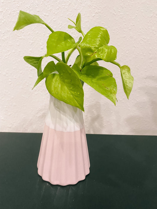Pink, Blue, Black Propagation Container - Modern ceramic Vessel