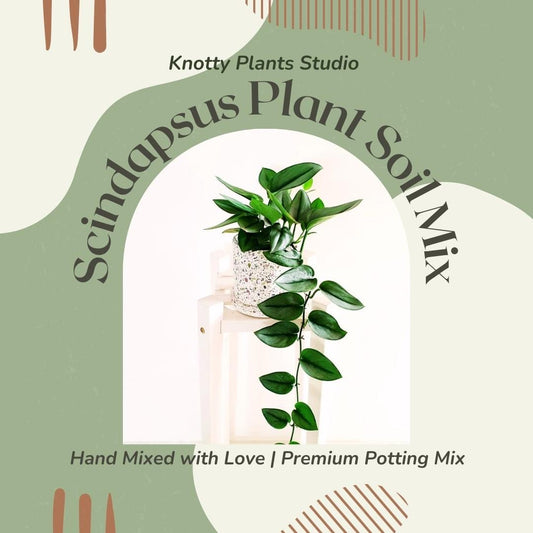 Scindapsus Plant Soil Mix - Custom Soil - Organic