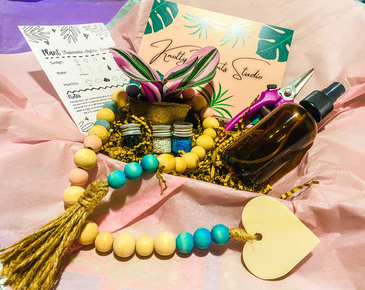2-Inch Plant Gift Box
