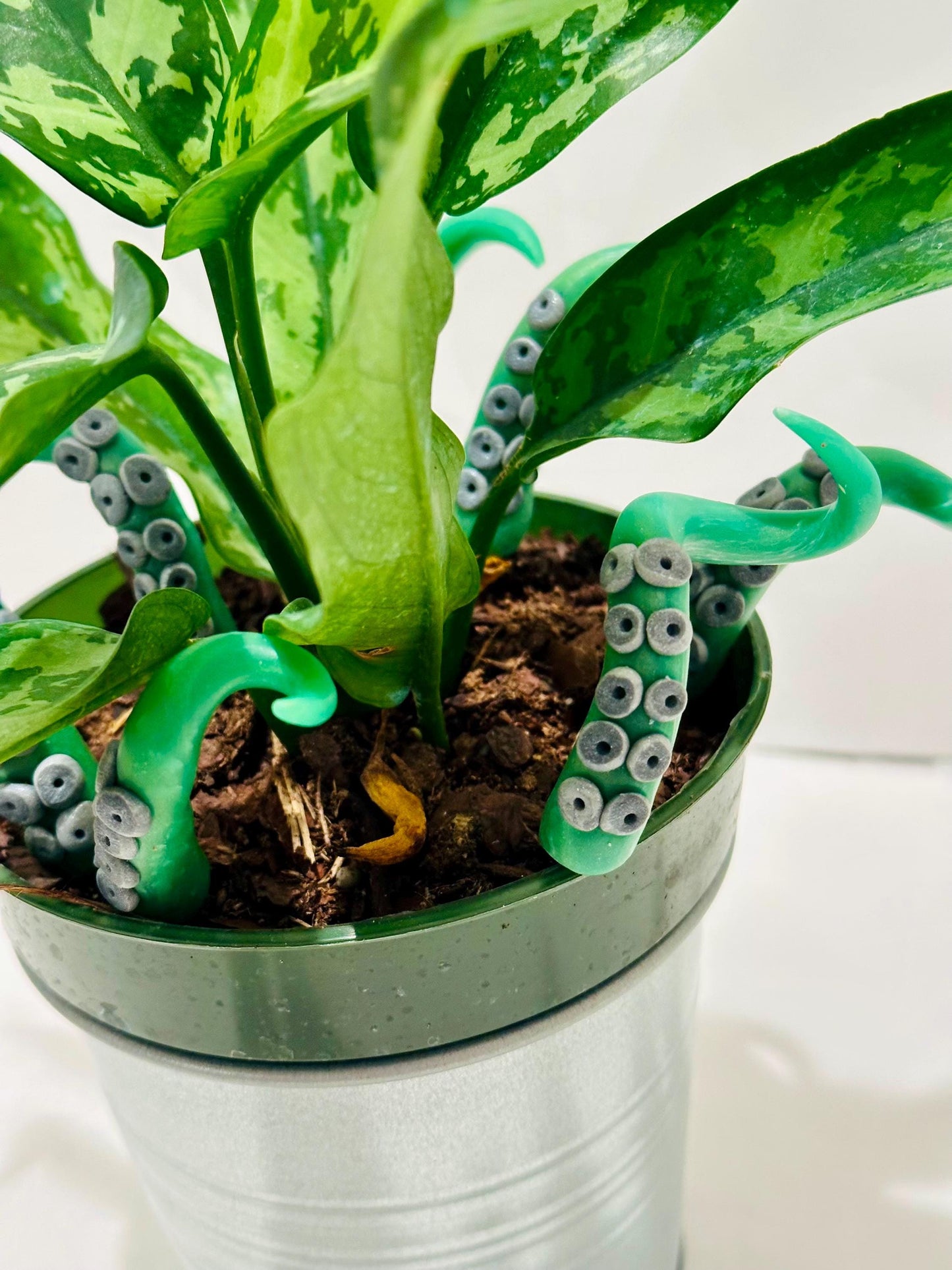 Marble Green & Black Sea Creature Tentacles