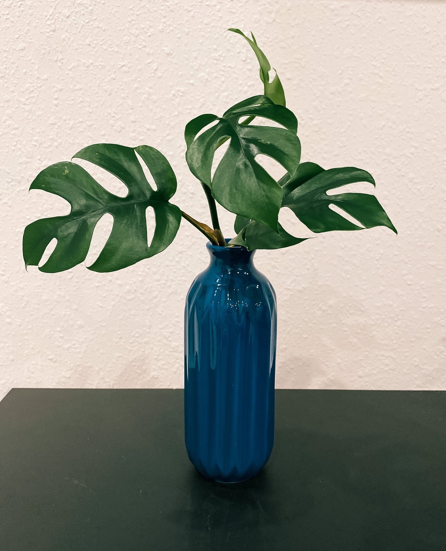 Blue, White, Grey Propagation Container - Modern Ceramic Vessel