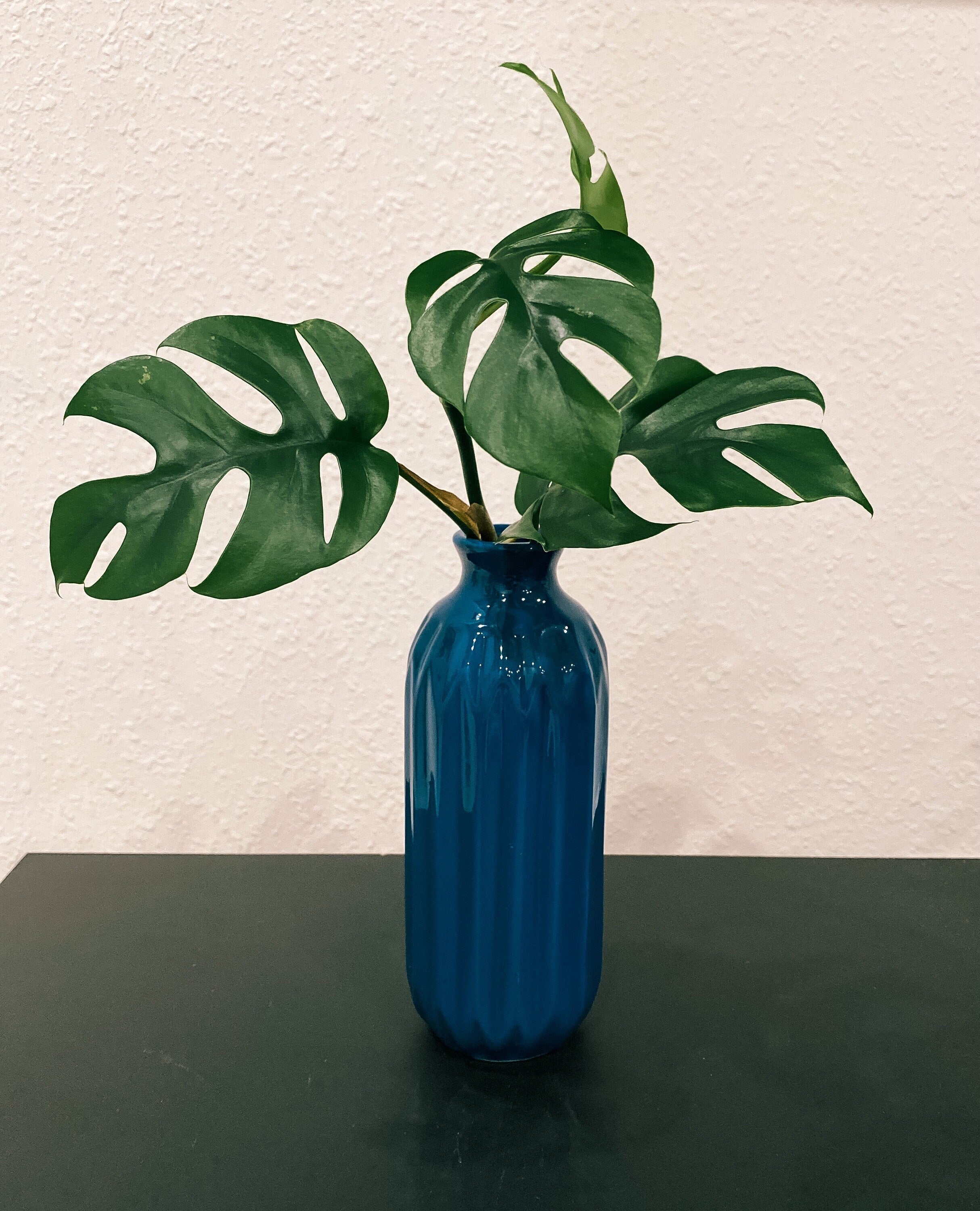 Blue, White, Grey Propagation Container - Modern Ceramic Vessel