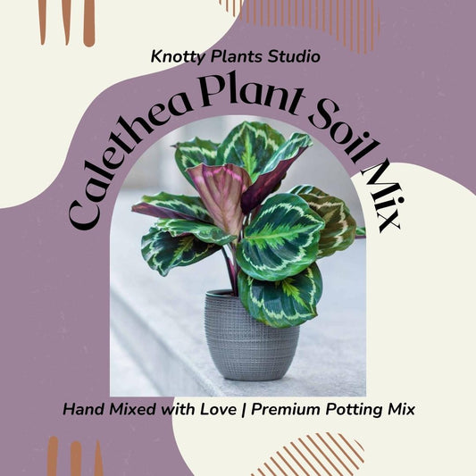 Calethea Soil Mix - Custom Soil - Organic