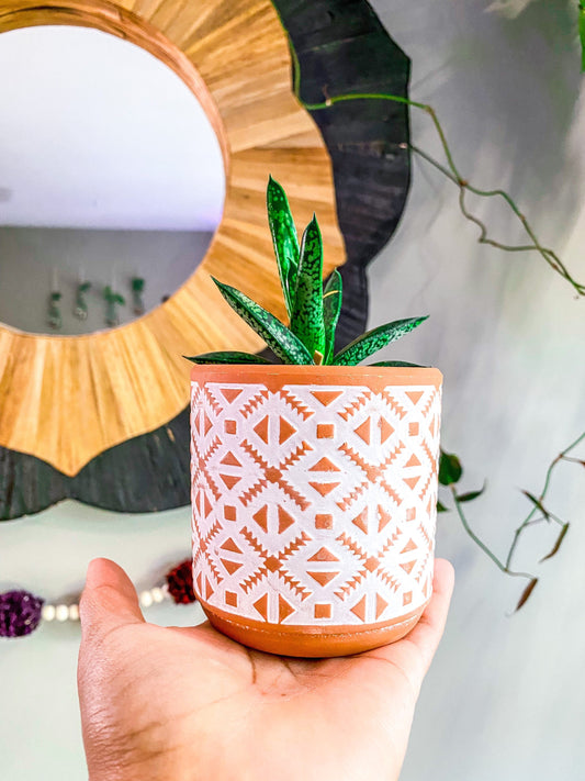 3.5 Inch Terracotta Planter - Ceramic Pot