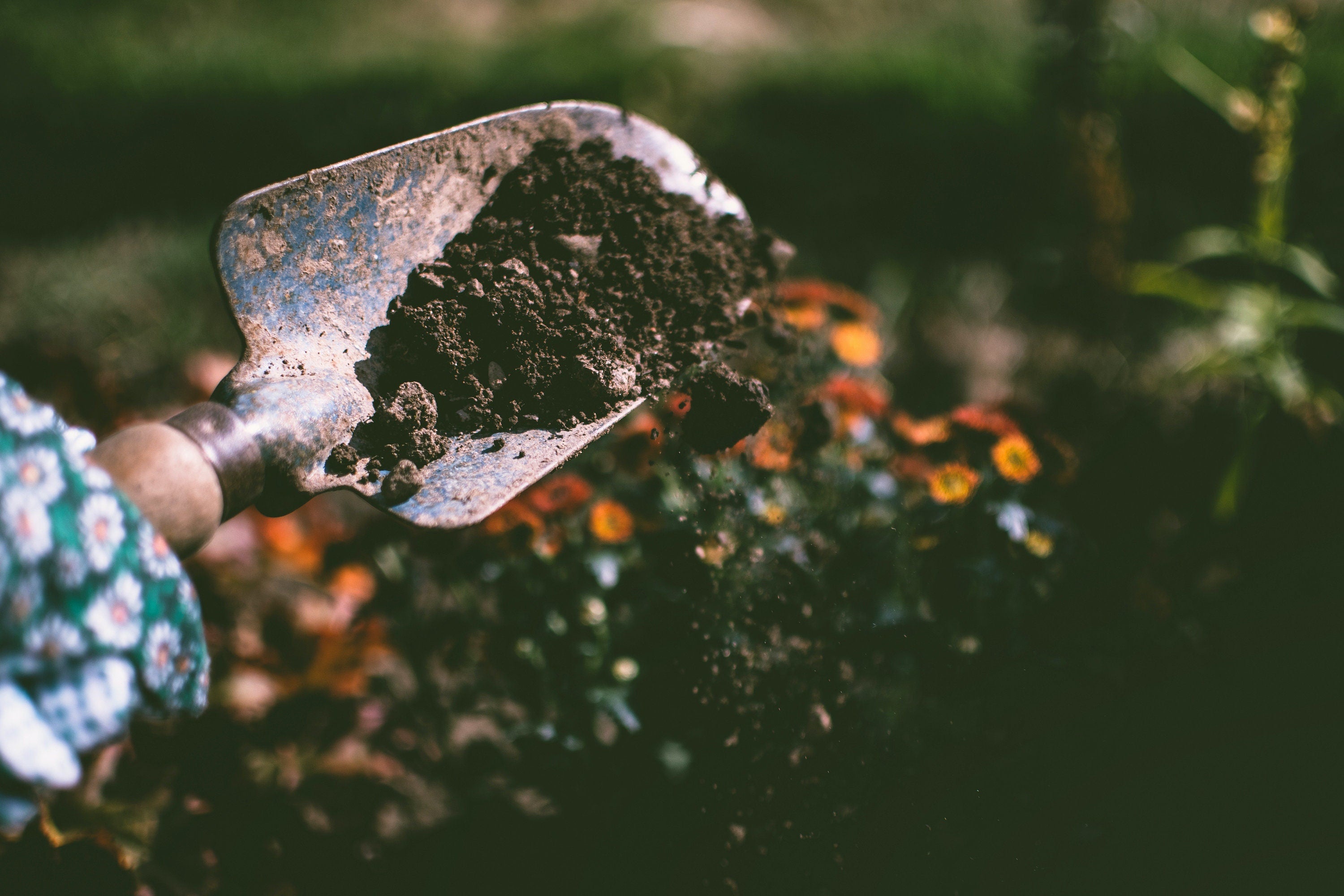 Syngonium Plant Soil Mix - Custom Soil - Organic