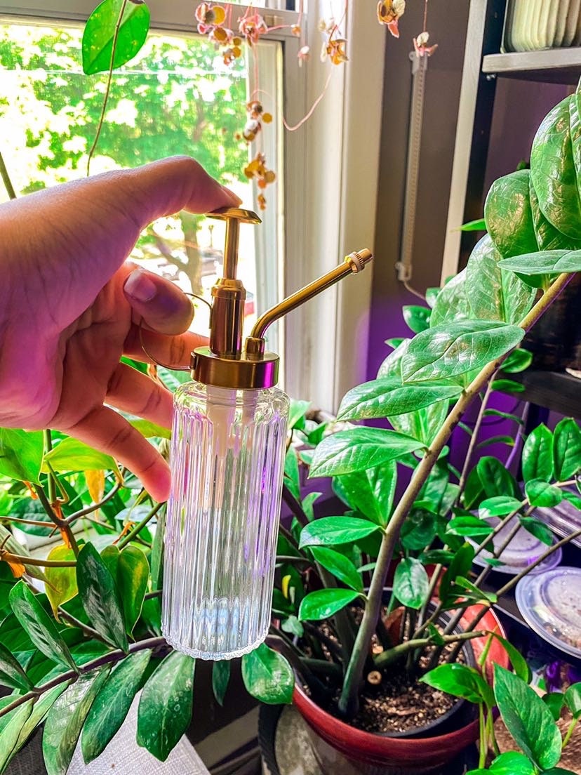 Vintage Gold & Glass Plant Mister - Trigger Spray for Plants / Room Sprays