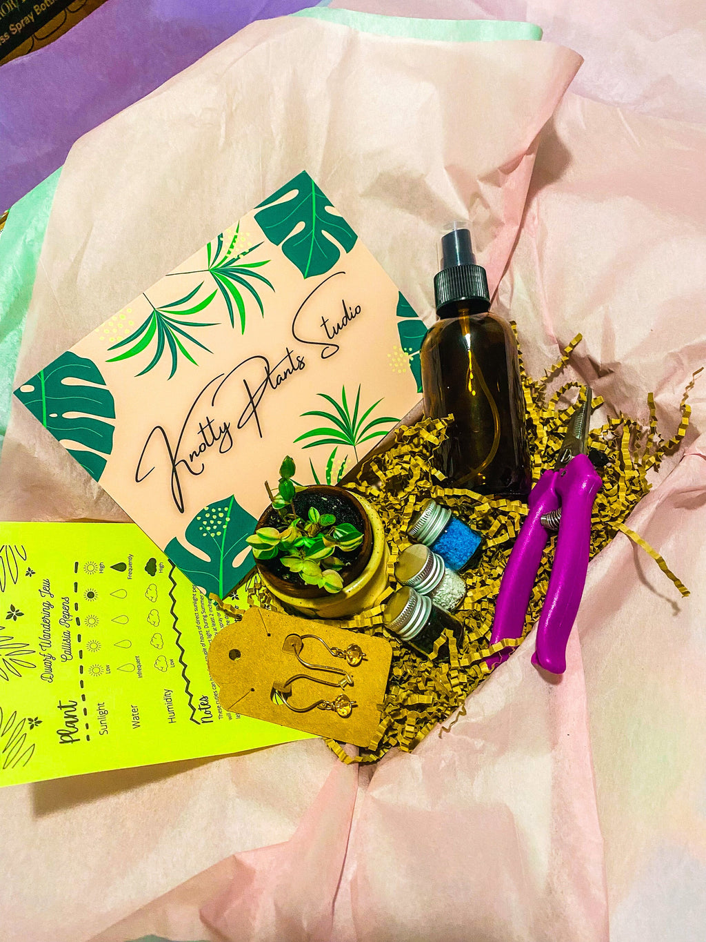 2-Inch Plant Gift Box