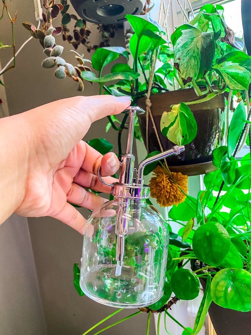 Vintage Silver & Glass Plant Mister - Trigger Spray for Plants