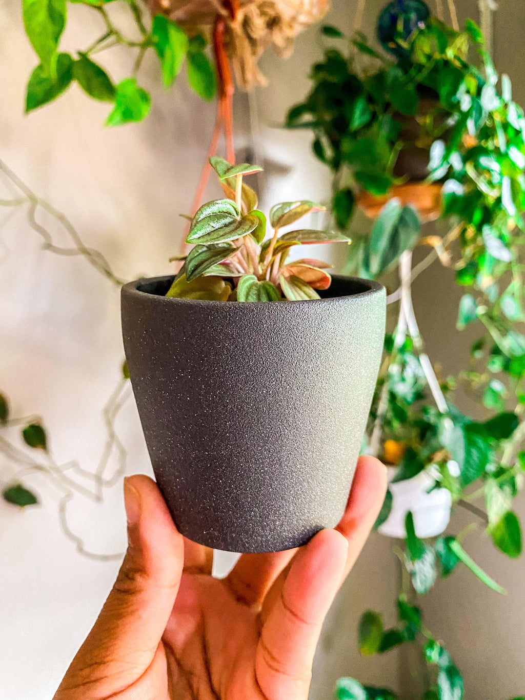 Speckled Ceramic Pot - 2 Inch