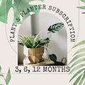Plant PLUS Planter Subscription - 4 Inch Planter Pot - 3, 6, 12 Month