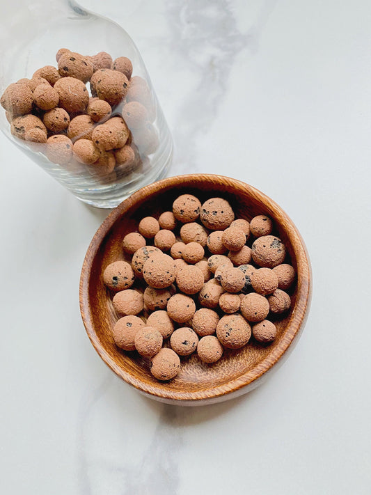 Leca Pebbles for House Plants - Semi-Hydro - Air Flow Helper