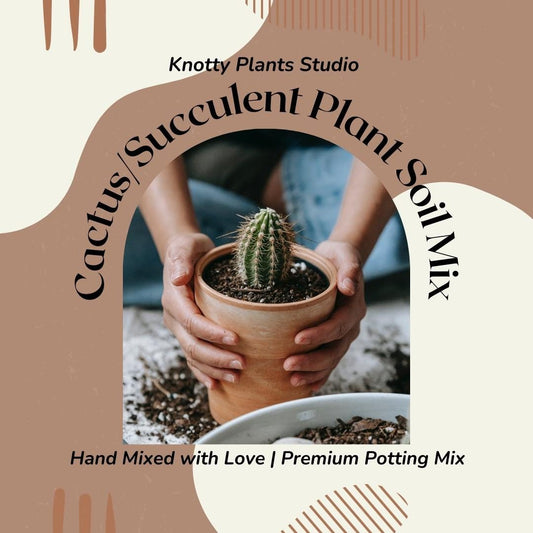 Cactus/Succulent Plant Soil Mix - Custom Soil - Organic