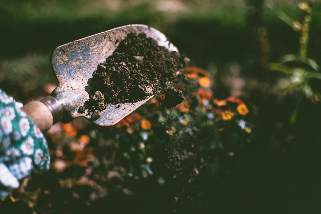 Calethea Soil Mix - Custom Soil - Organic