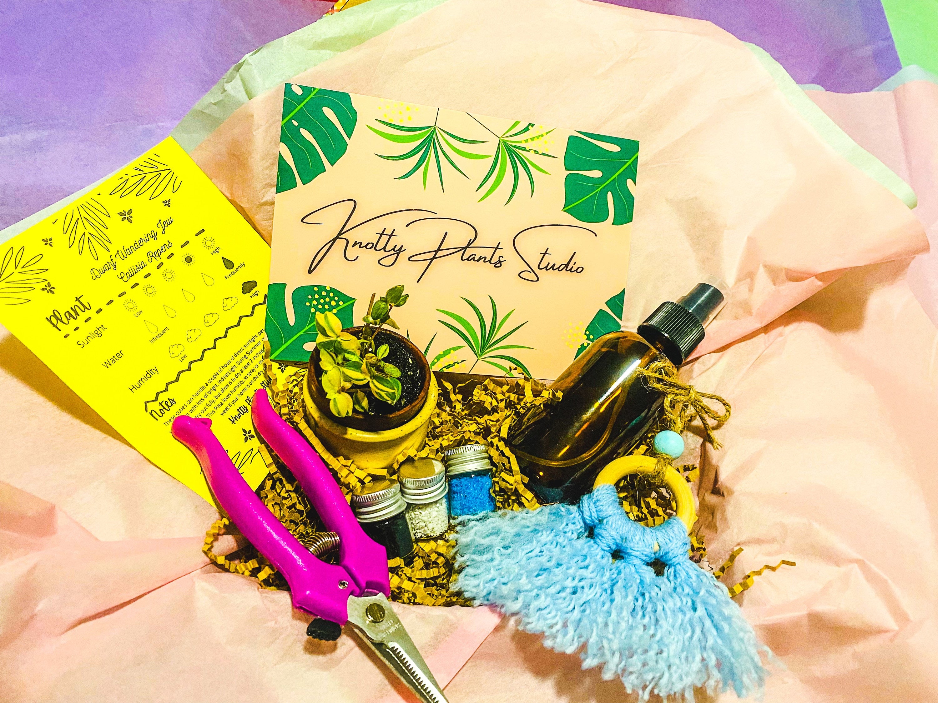 2-Inch Plant Gift Box