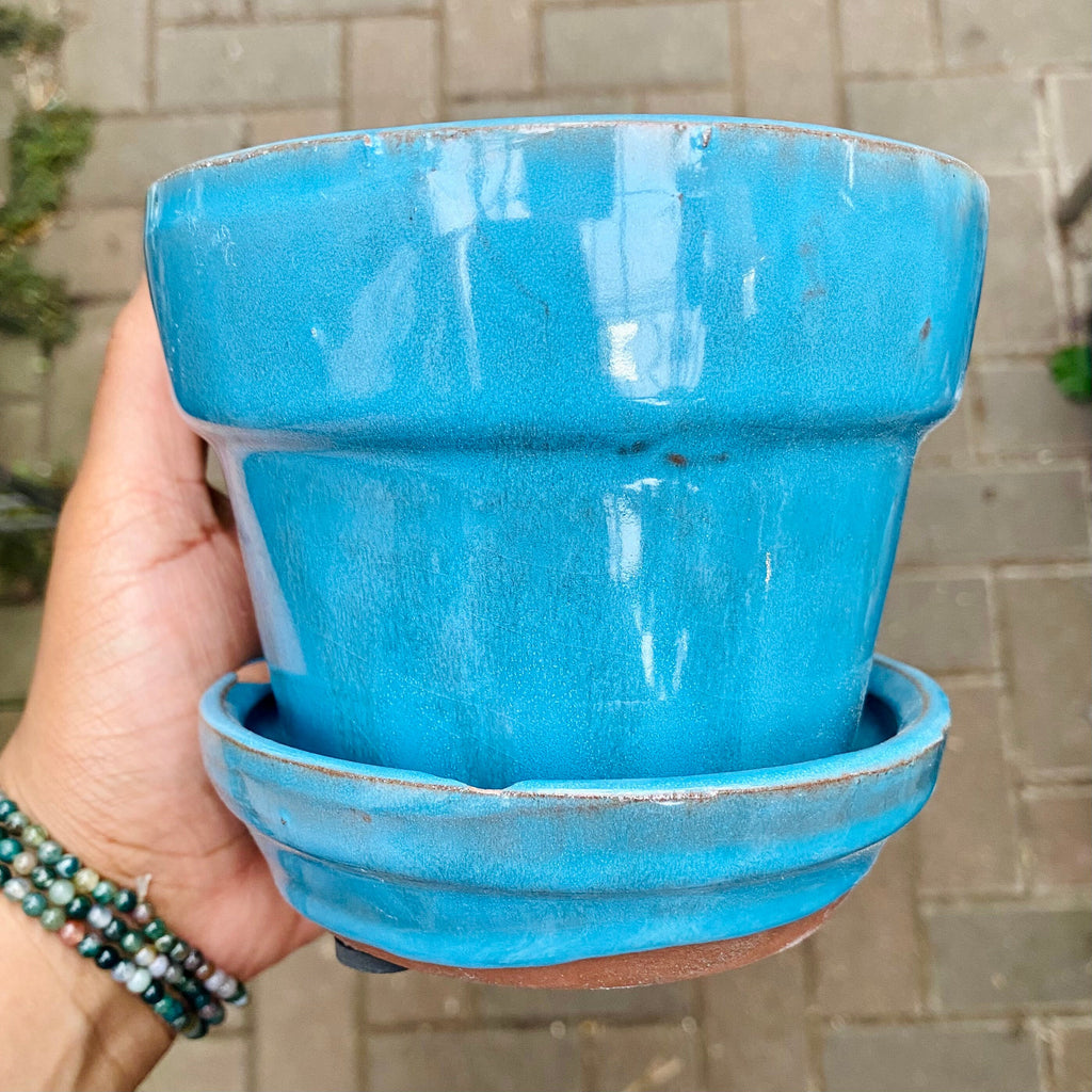 Pick Your Color Ceramic Pot - 3 Inch Pot Size