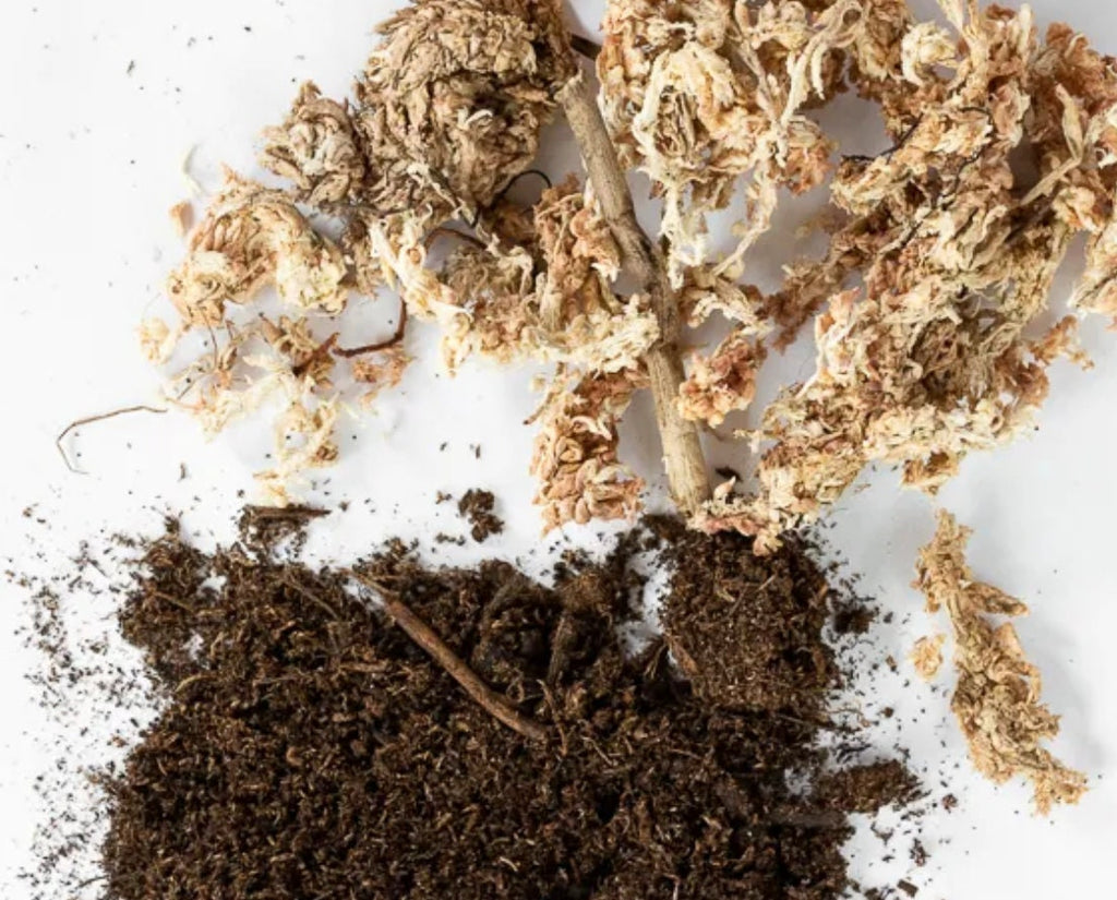 Cactus/Succulent Plant Soil Mix - Custom Soil - Organic