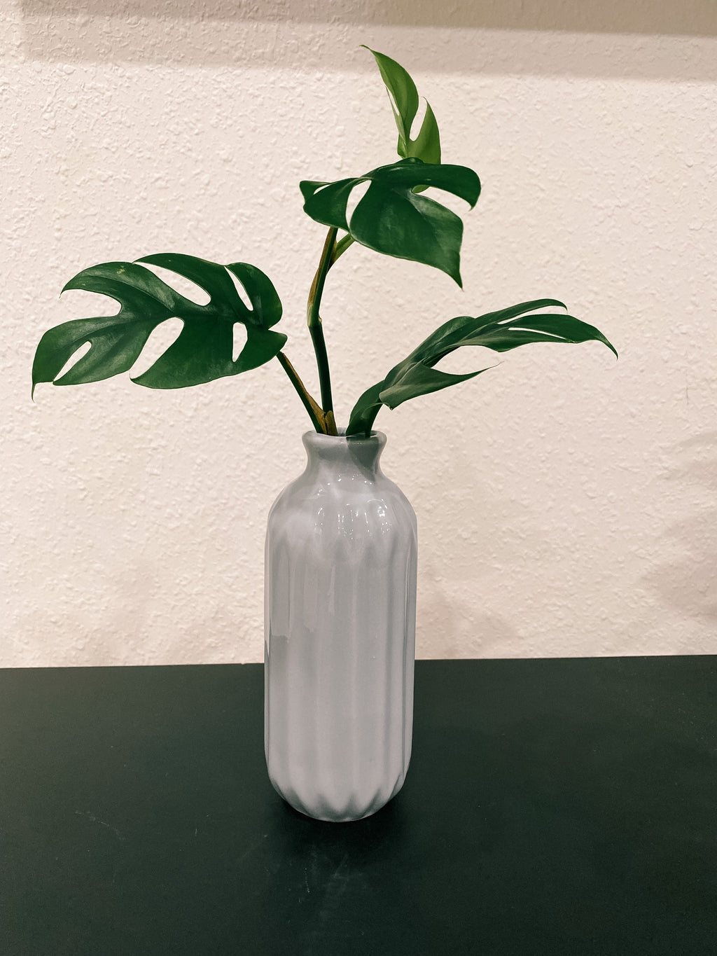 Blue, White, Grey Propagation Container - Modern Ceramic Vessel