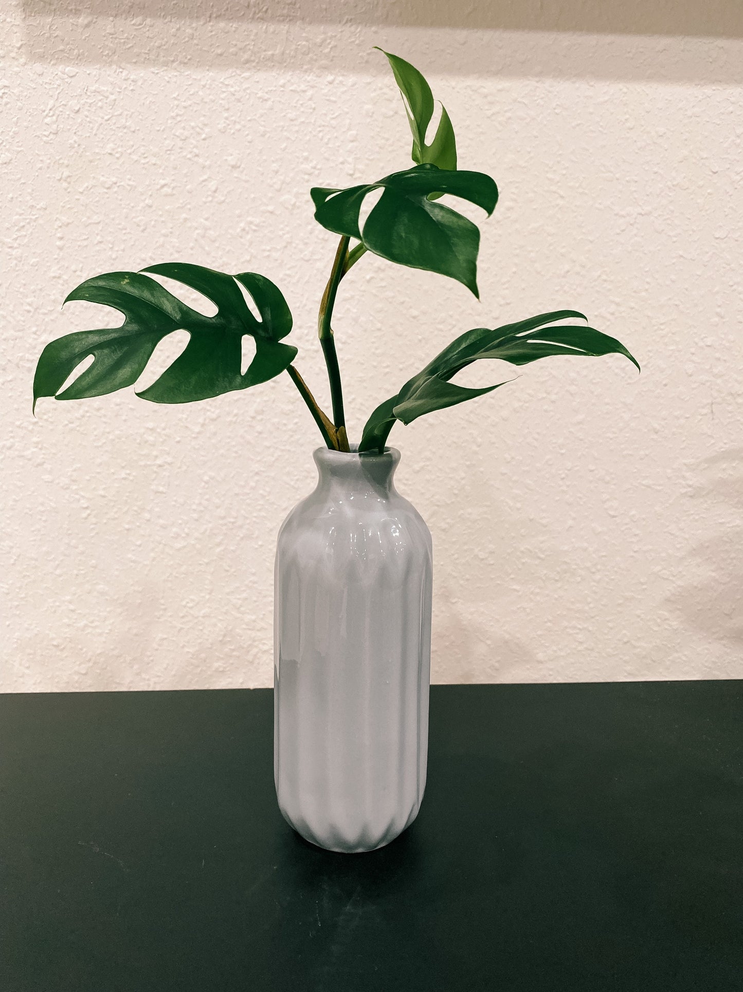 Blue, White, Grey Propagation Container - Modern Ceramic Vessel