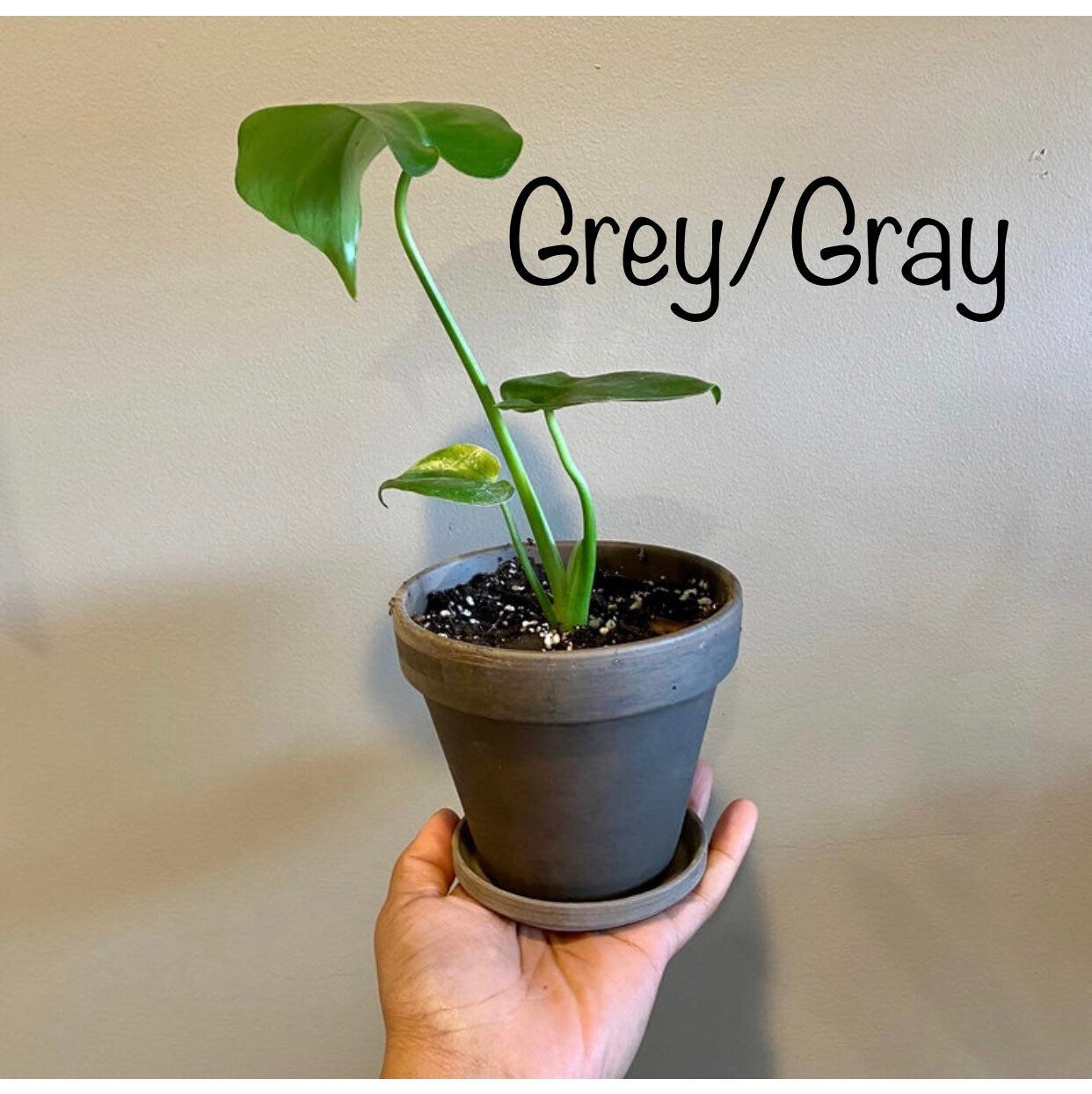 Cream/Grey/Dark Gray/Terracotta Marble Clay Pot - 4 Inch Pot Size