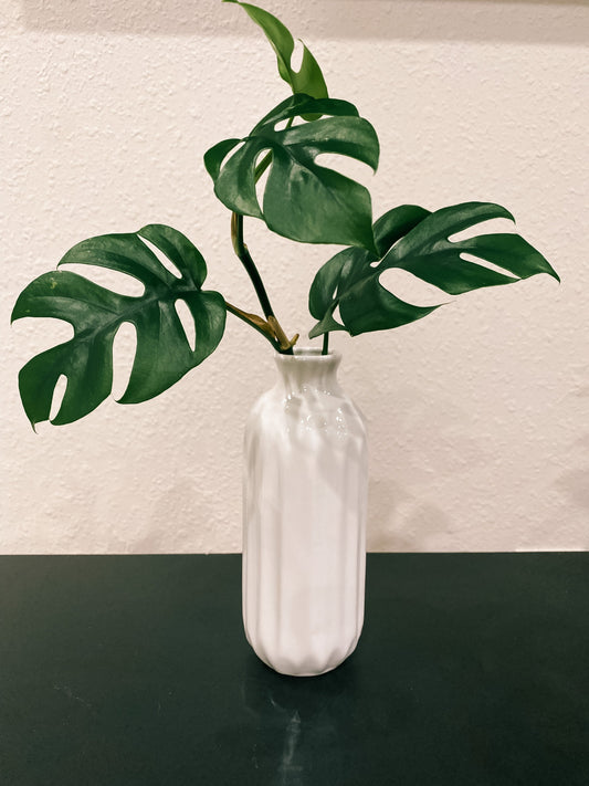 Blue, White, Grey Propagation Container - Modern Ceramic Vessel