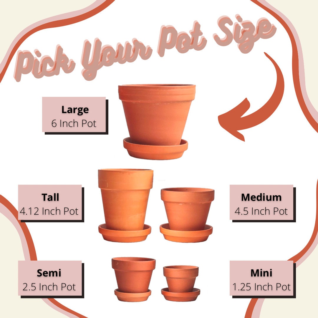 Unique Hand Painted Terracotta Pot for Plants - Pick Your Size