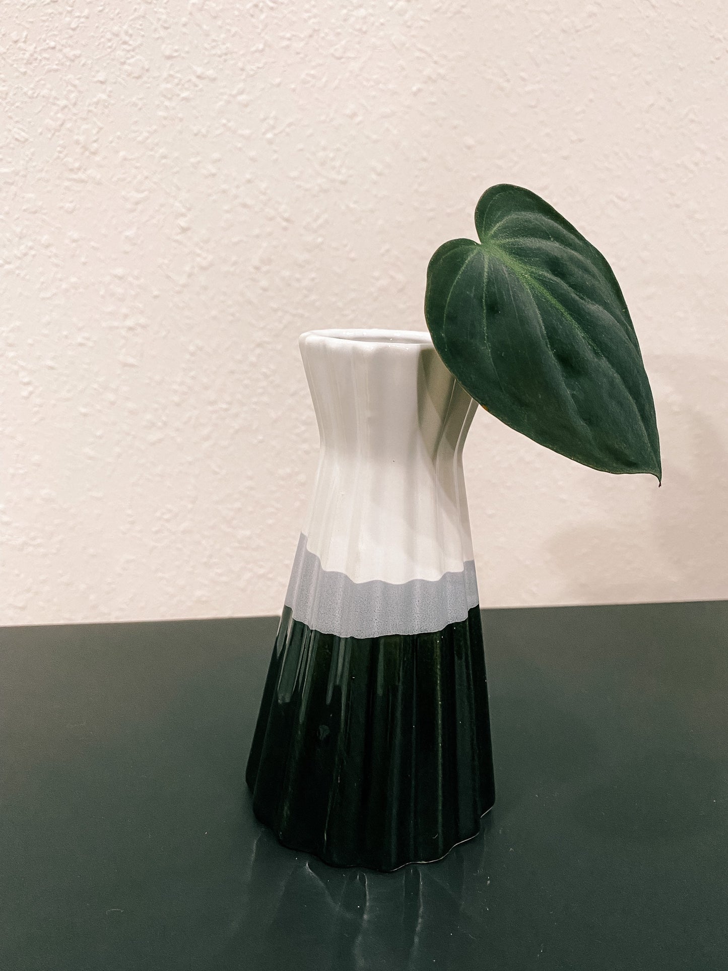 Pink, Blue, Black Propagation Container - Modern ceramic Vessel