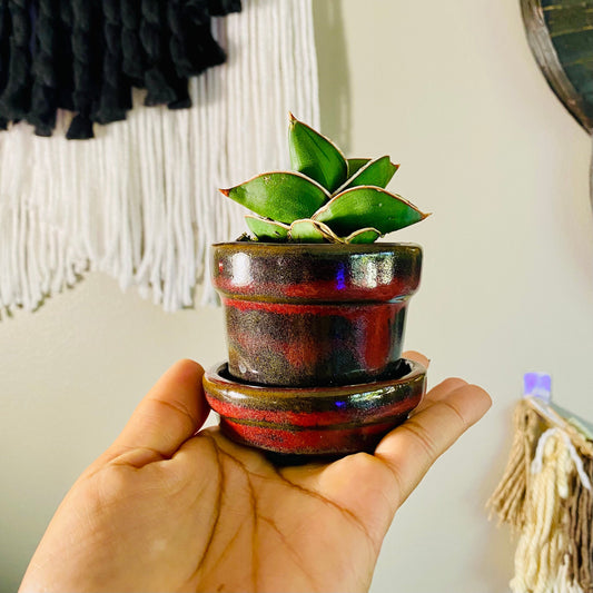 Pick Your Color Ceramic Pot - 2 Inch Pot Size