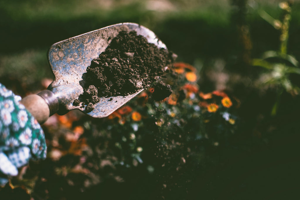 Anthurium Soil Mix - Custom Soil - Organic