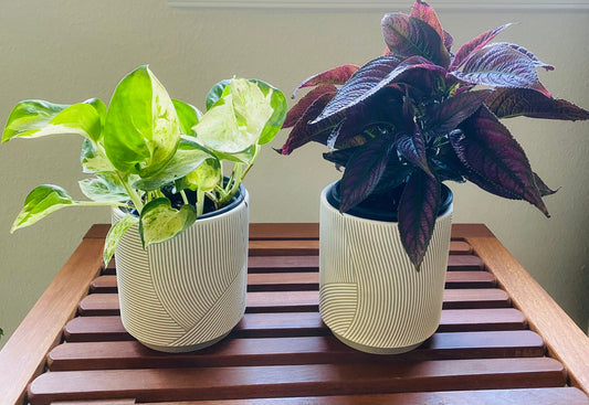 4-Inch Grey Waves Catcher Pot - Colorful Ceramic Pot