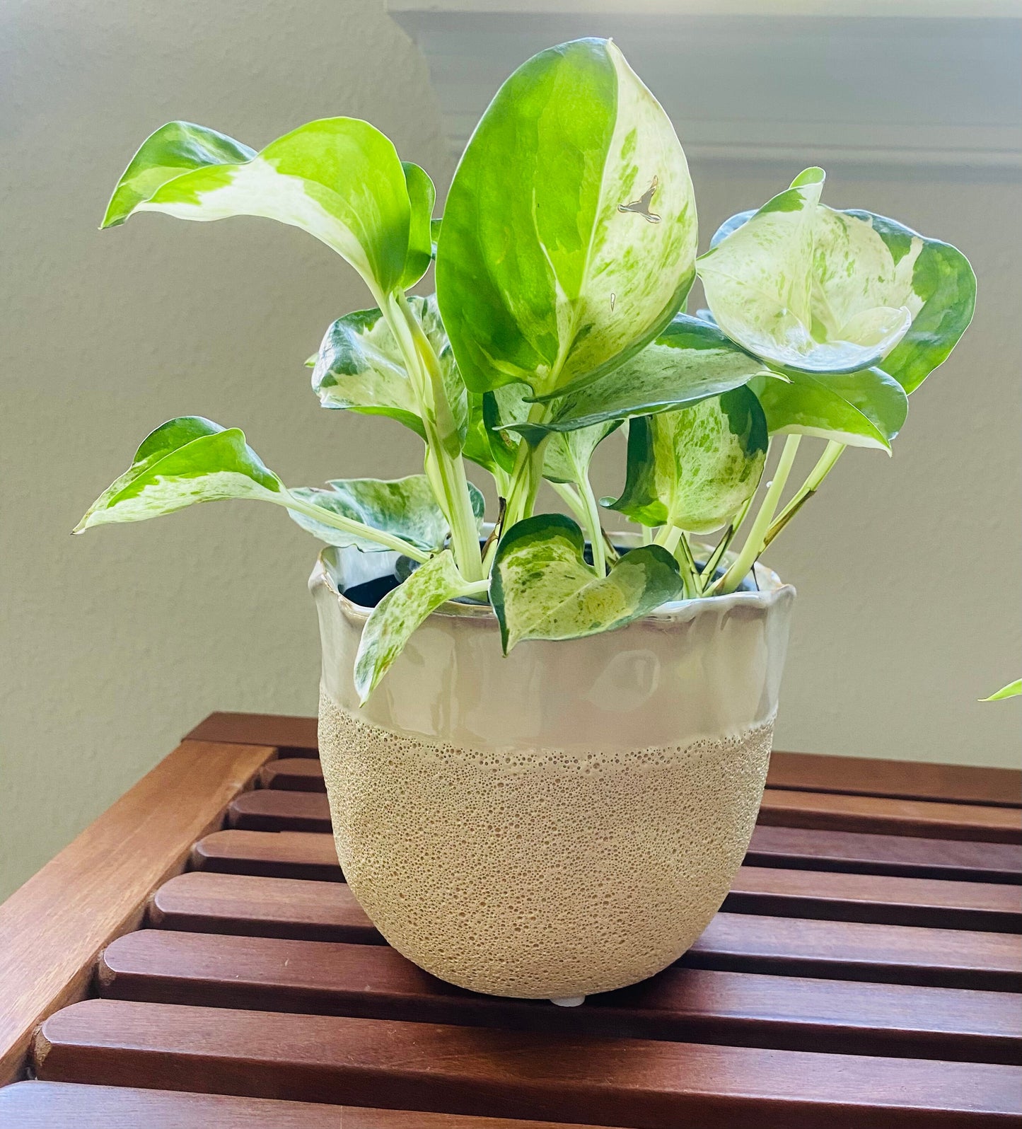 4-Inch Cream Two Textured Catcher Pot - Colorful Ceramic Pot