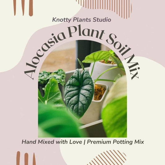 Alocasia Soil Mix - Custom Soil - Organic
